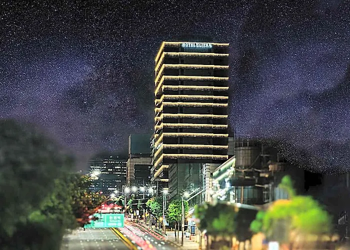 Hotel Eliena Gangnam