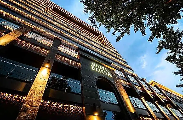 Eliena Gangnam Hotel Séoul